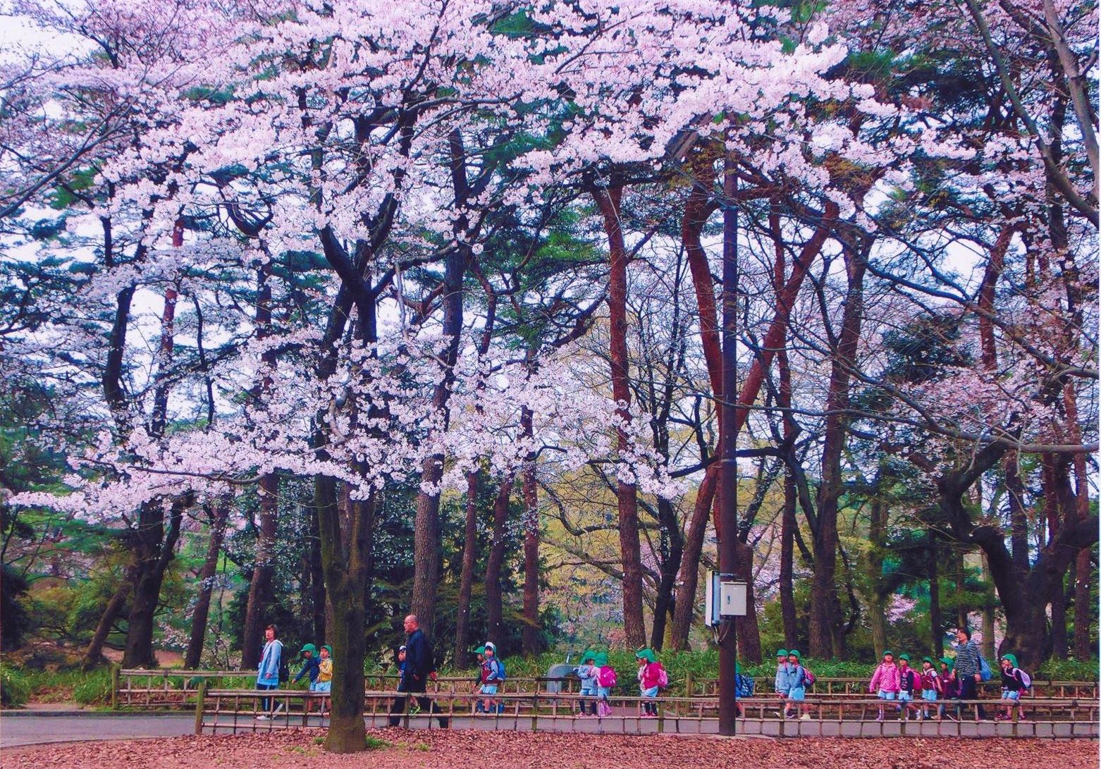 入賞写真