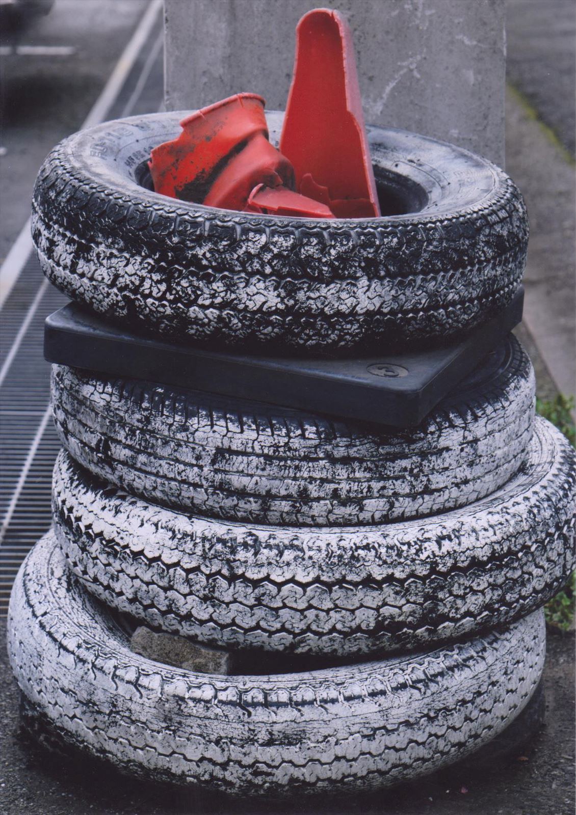 入賞写真