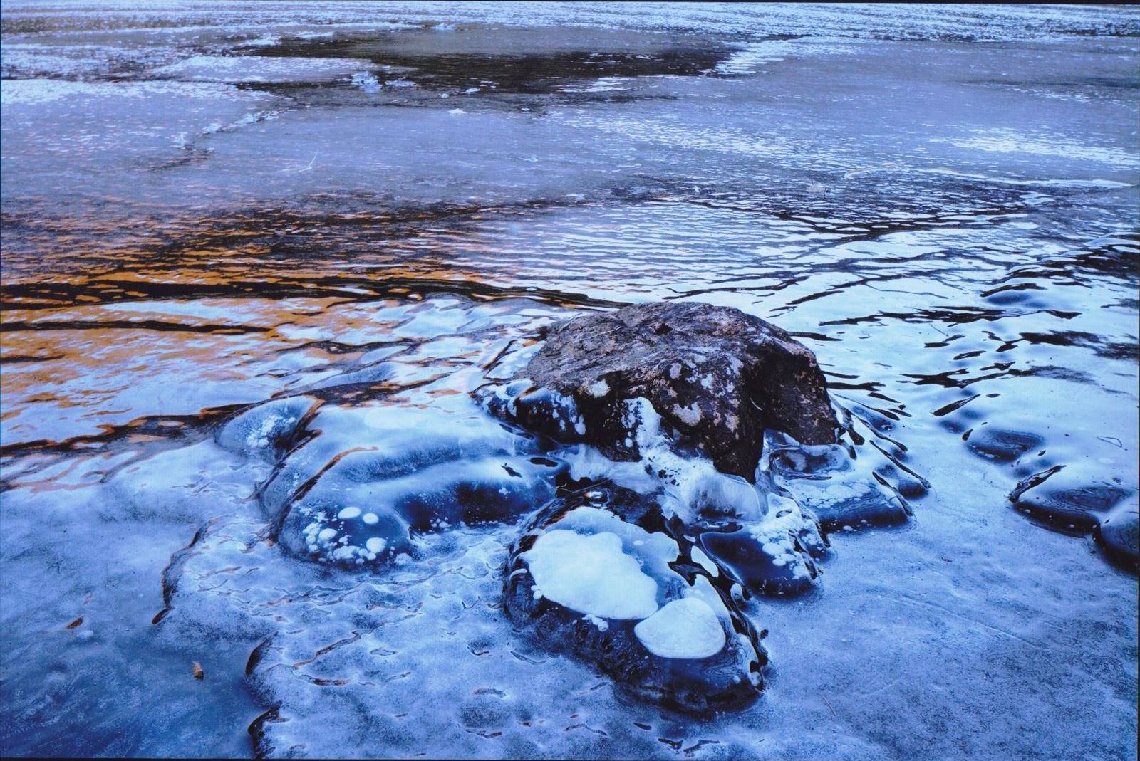 入賞写真