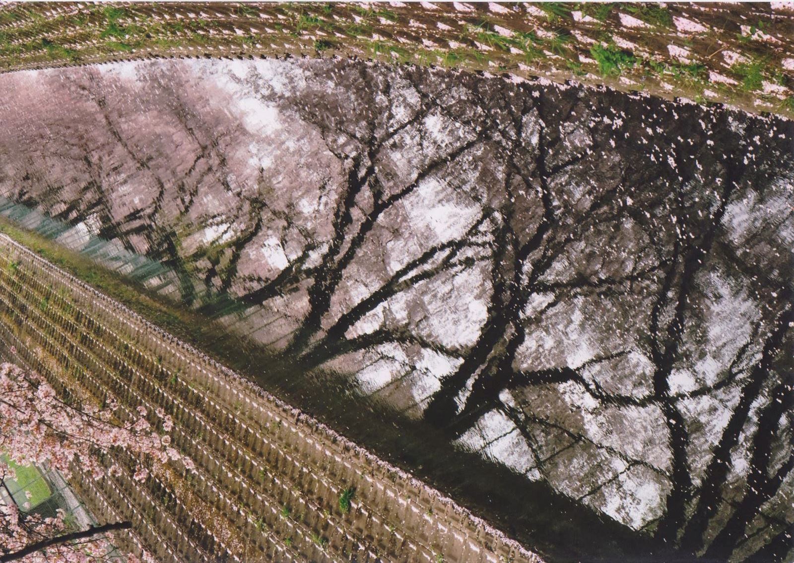 入賞写真