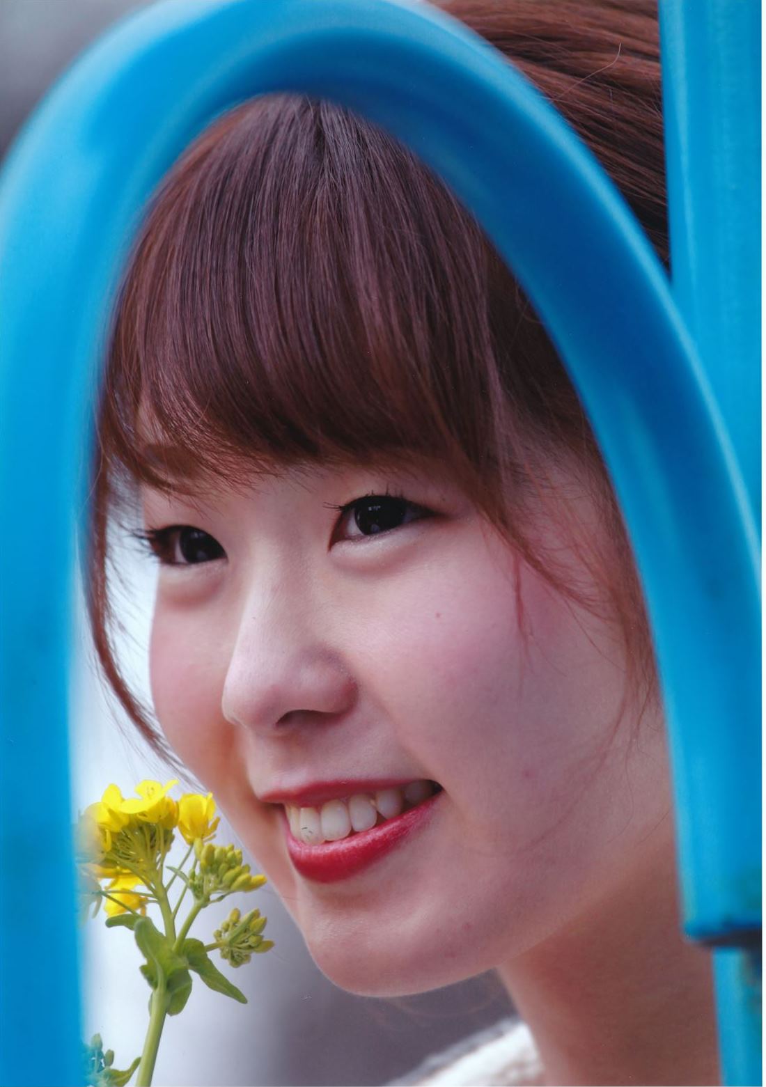 入賞写真