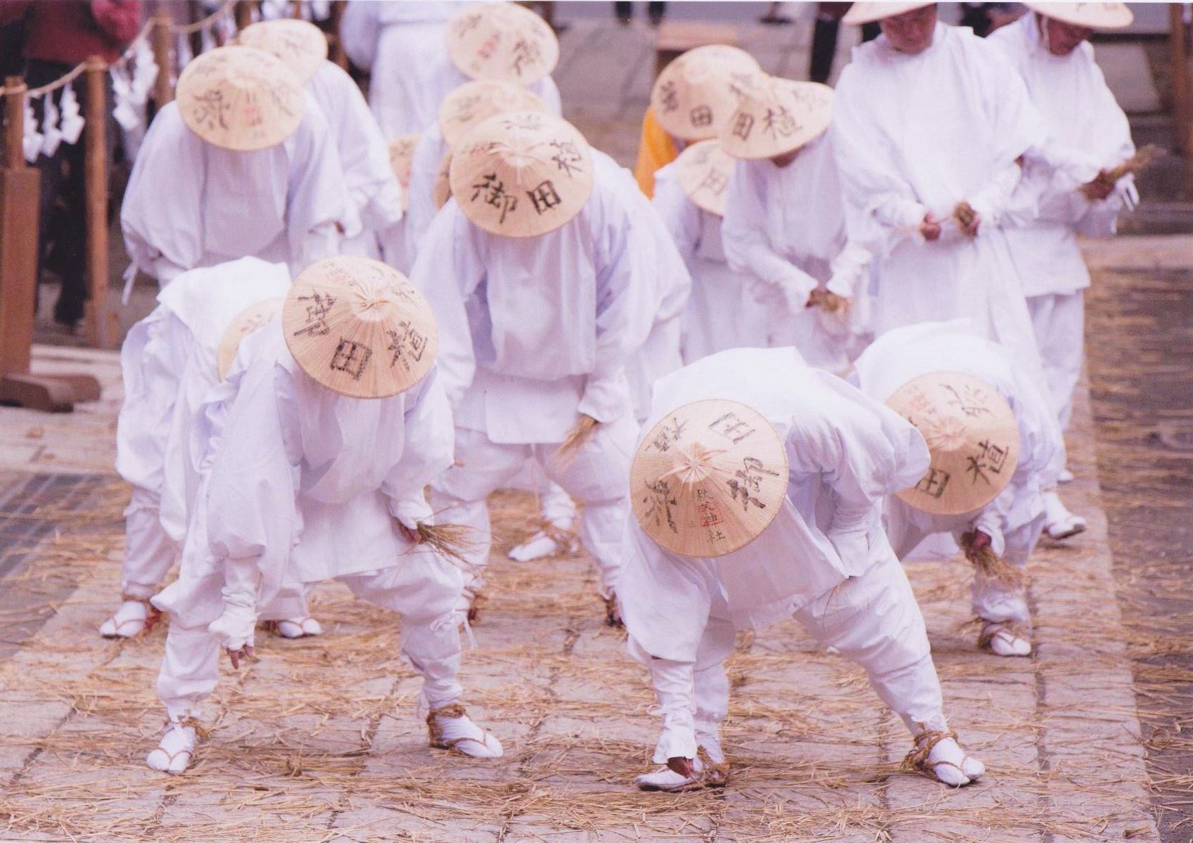 入賞写真