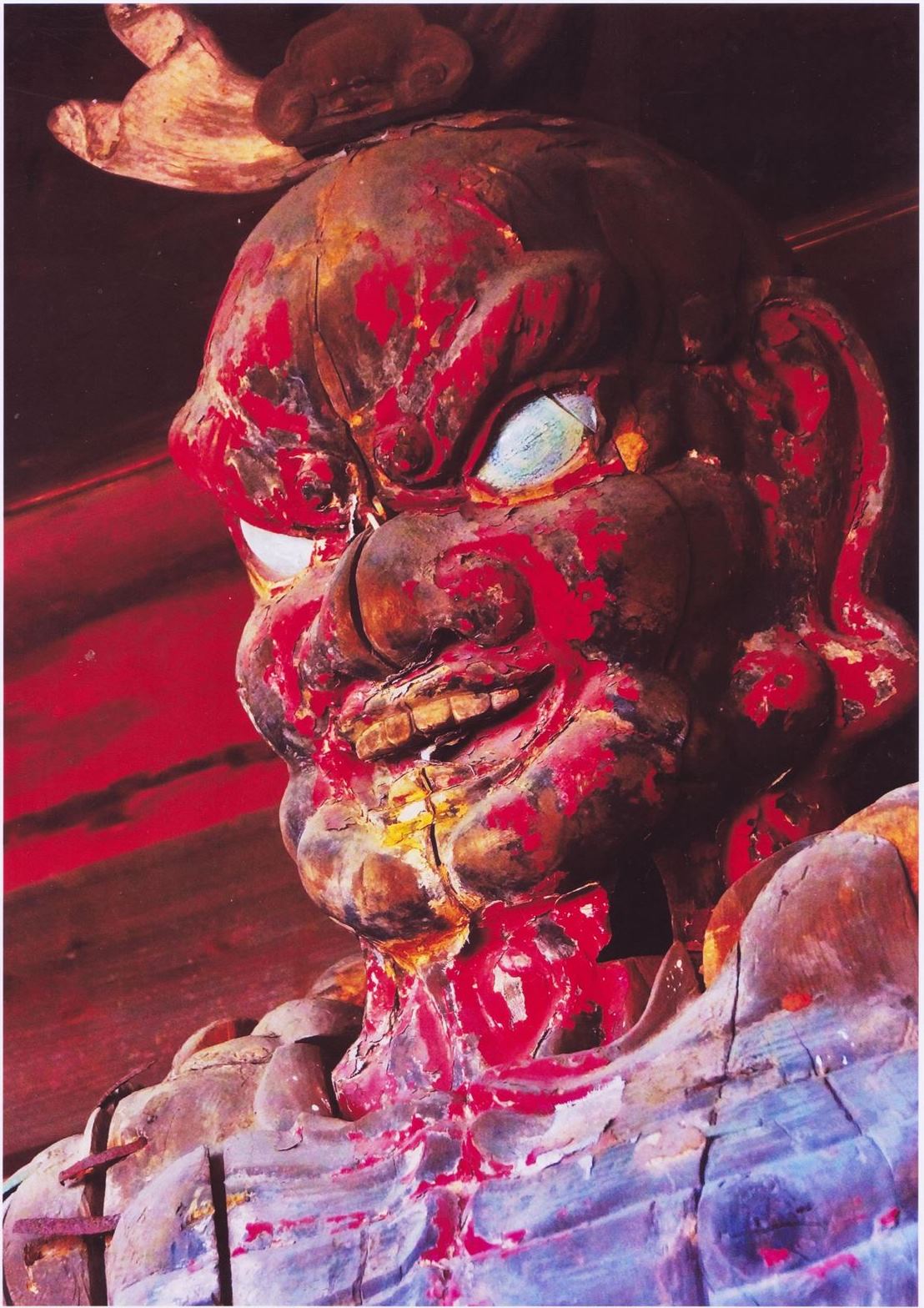 入賞写真"