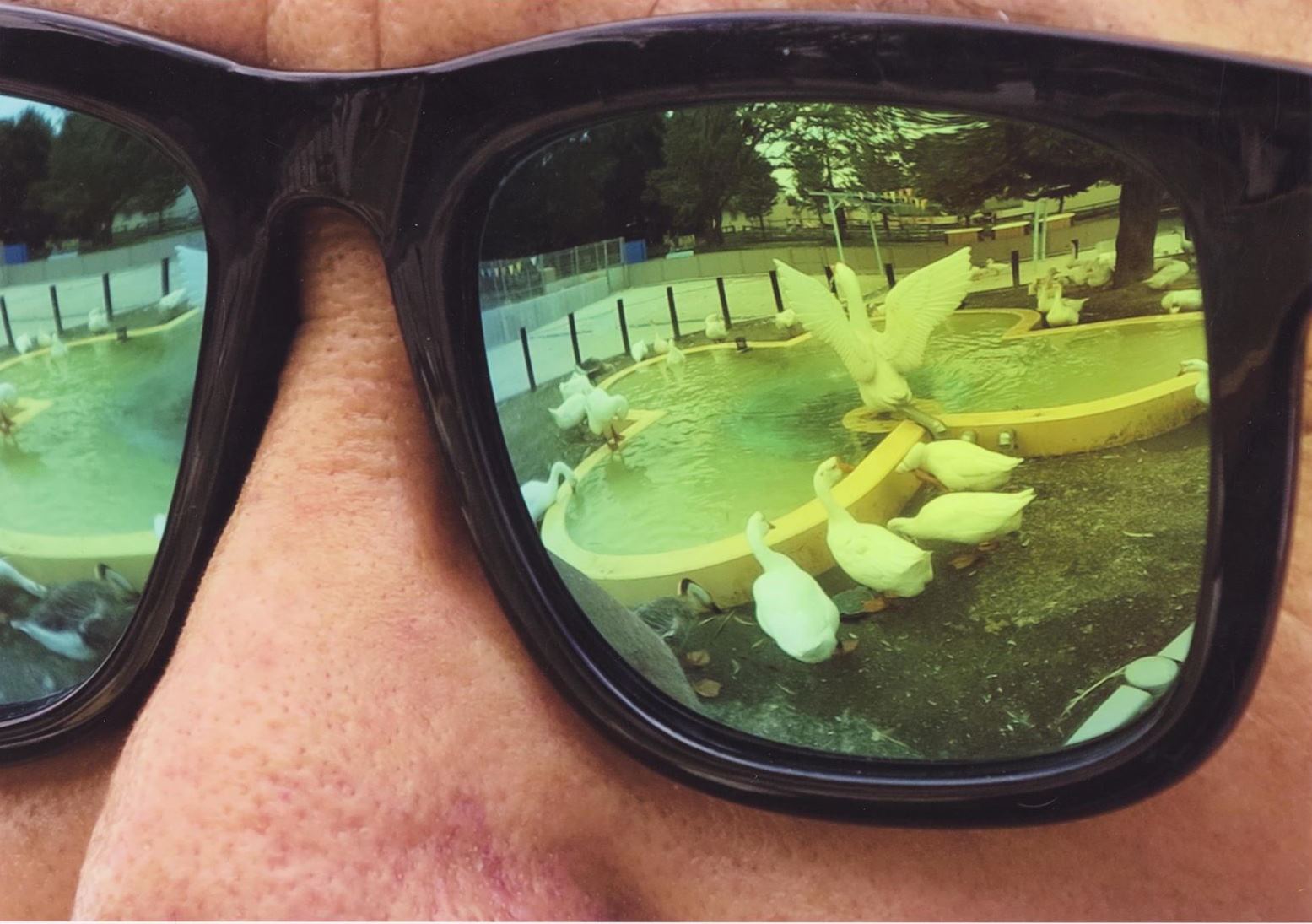 入賞写真"