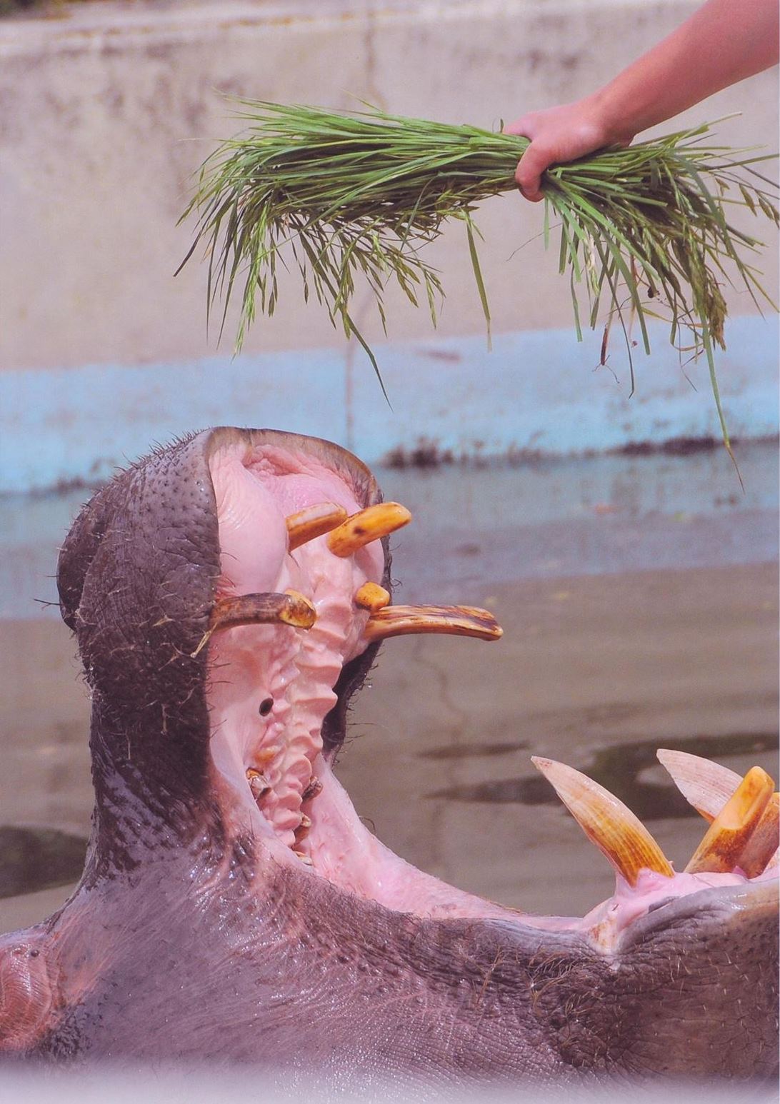 入賞写真"
