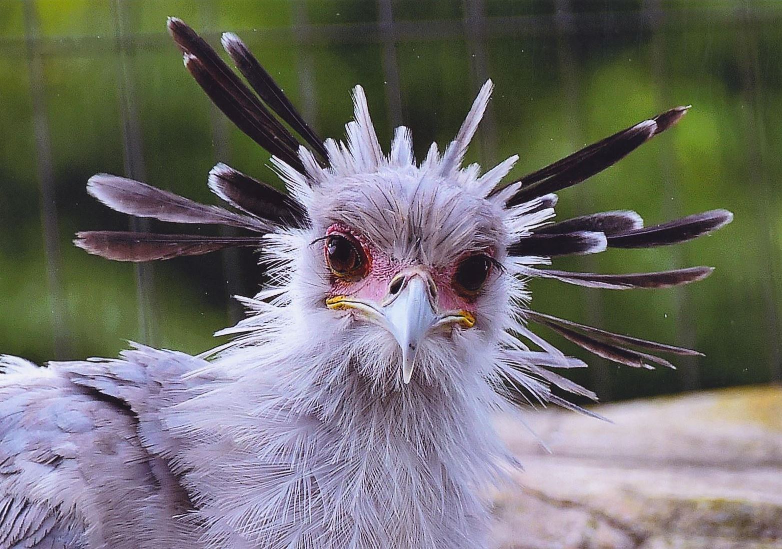 入賞写真"