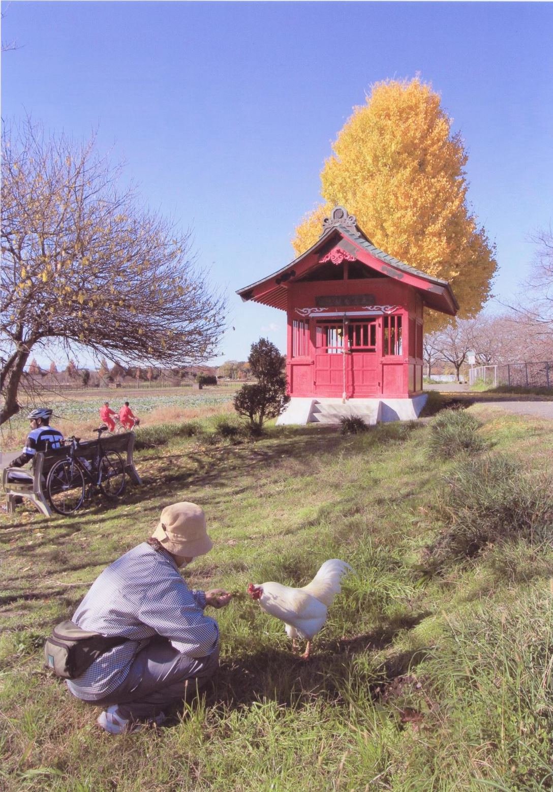 入賞写真"