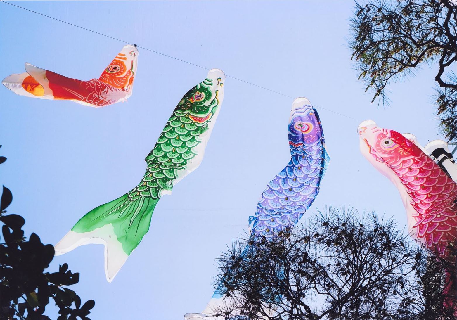 入賞写真"
