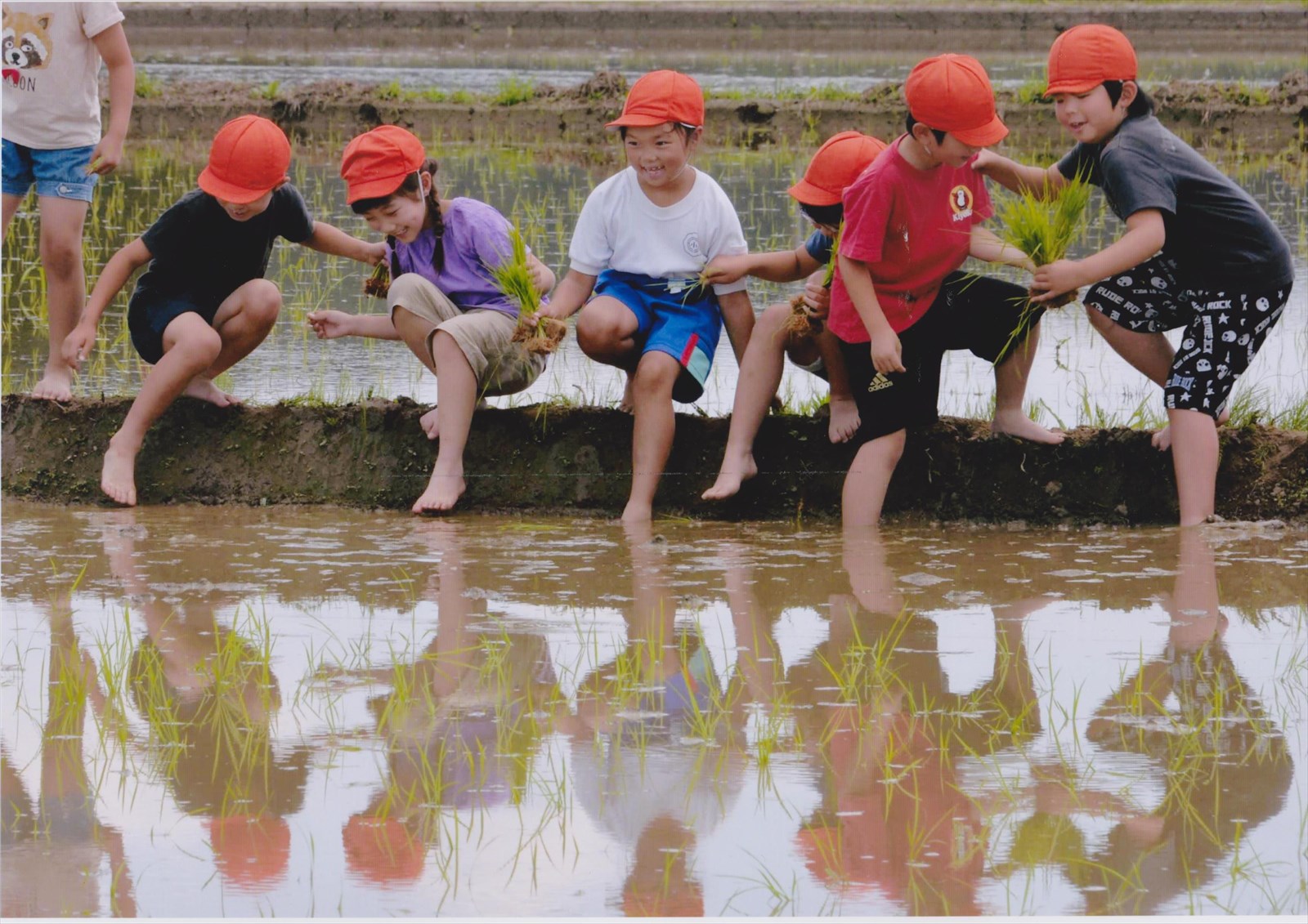 入賞写真