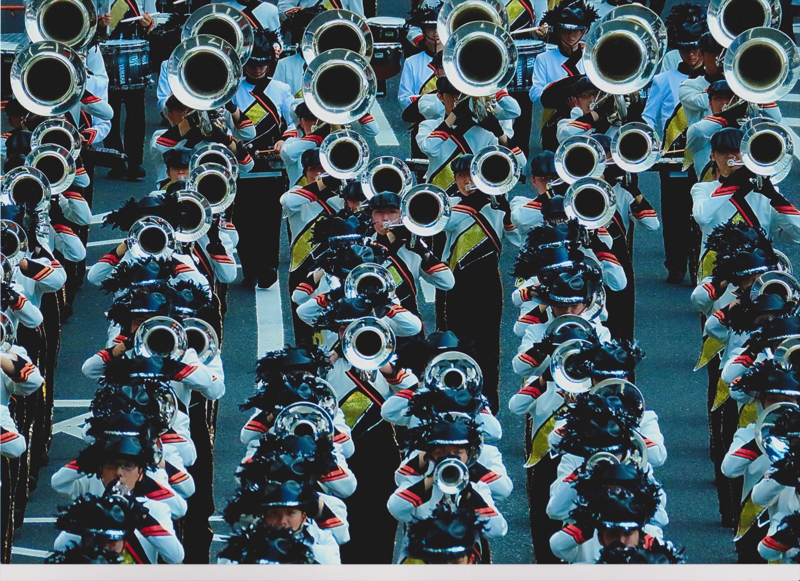 入賞写真