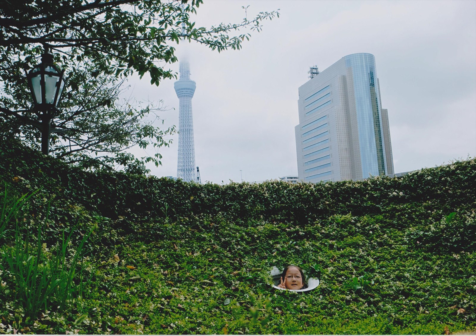 入賞写真