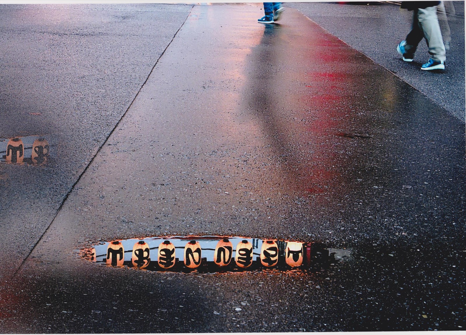 入賞写真