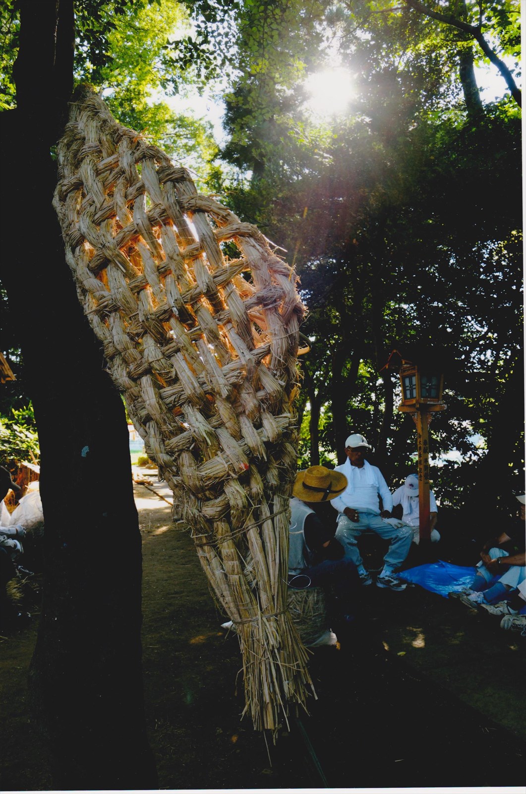 入賞写真