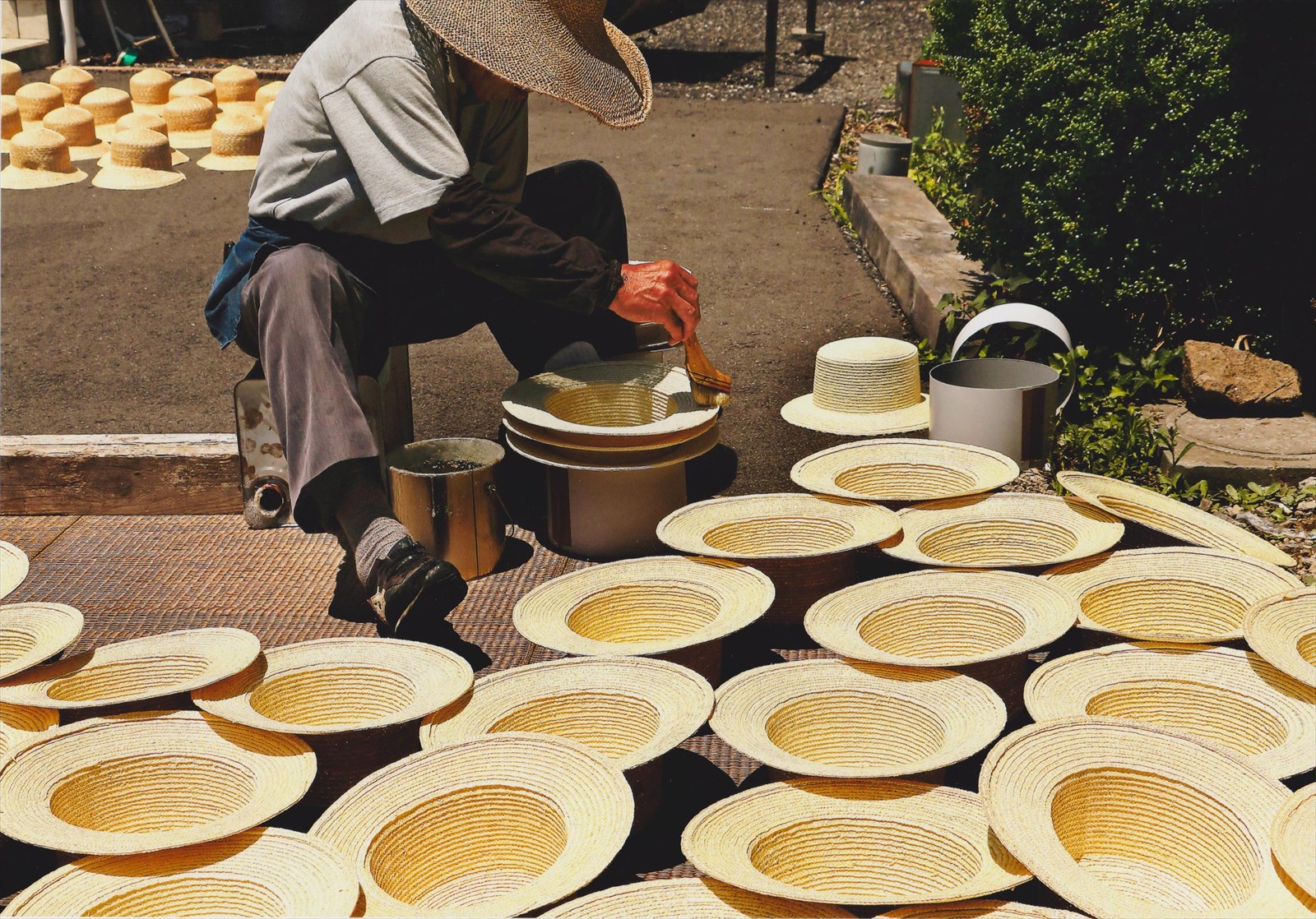 入賞写真