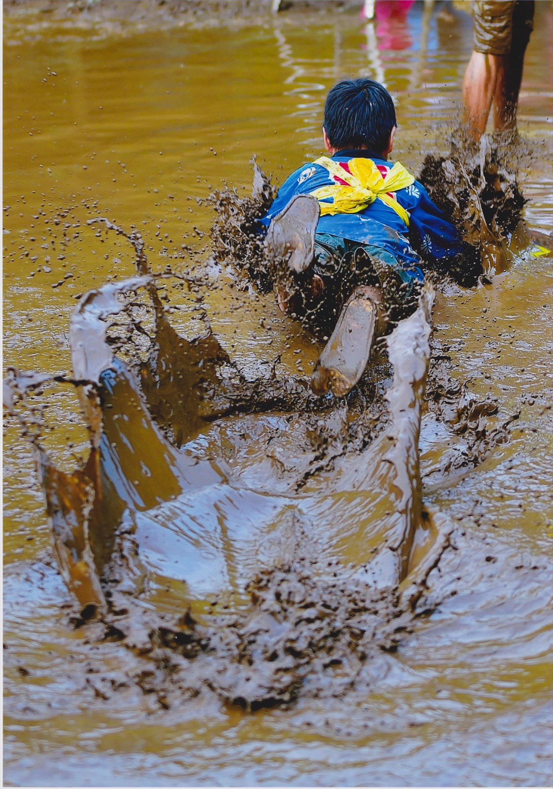 入賞写真