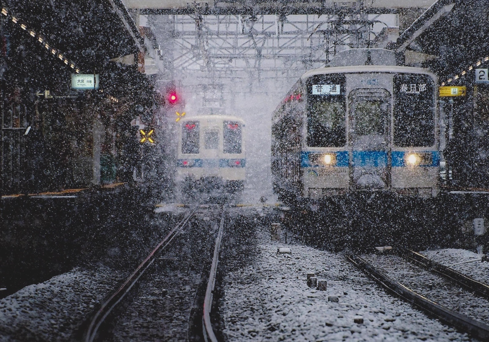 入賞写真