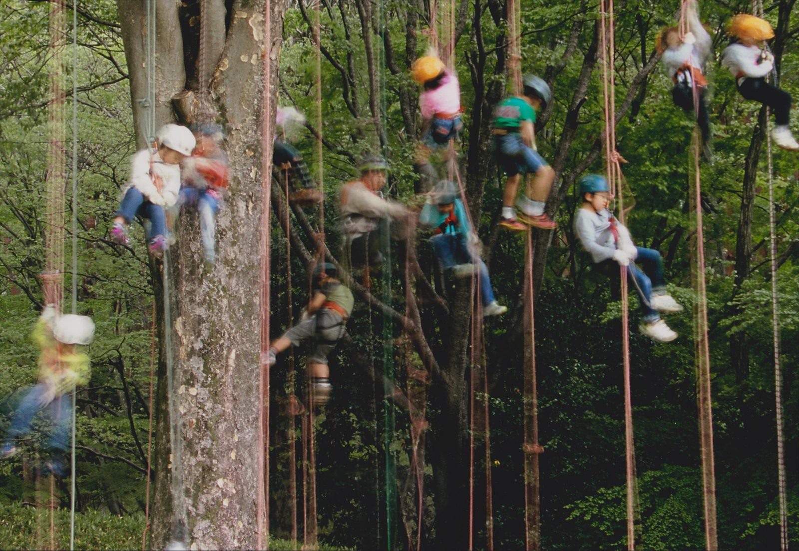 入賞写真