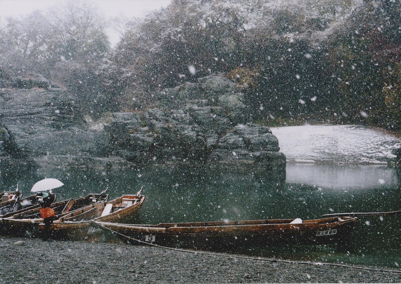 入賞写真