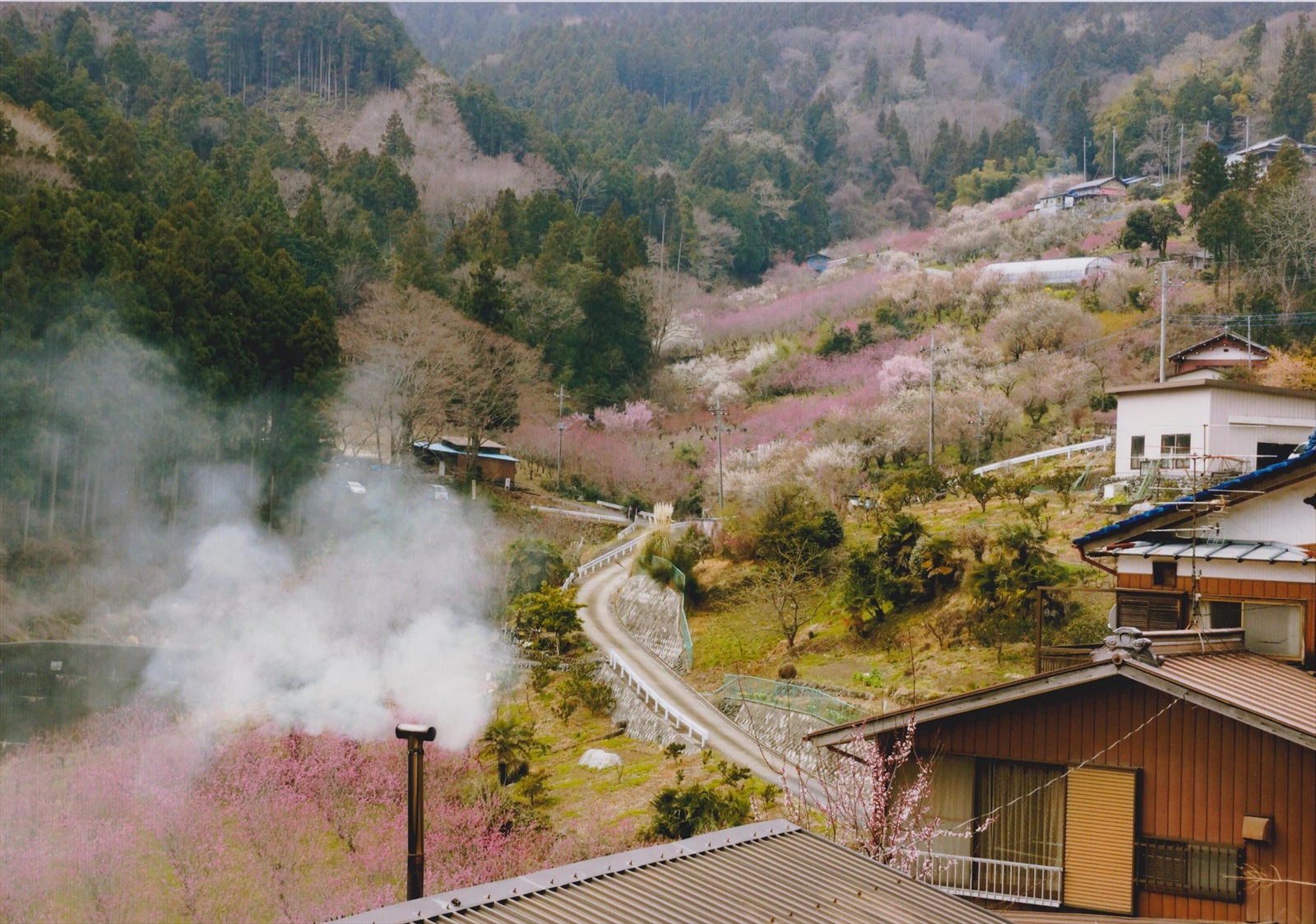 入賞写真