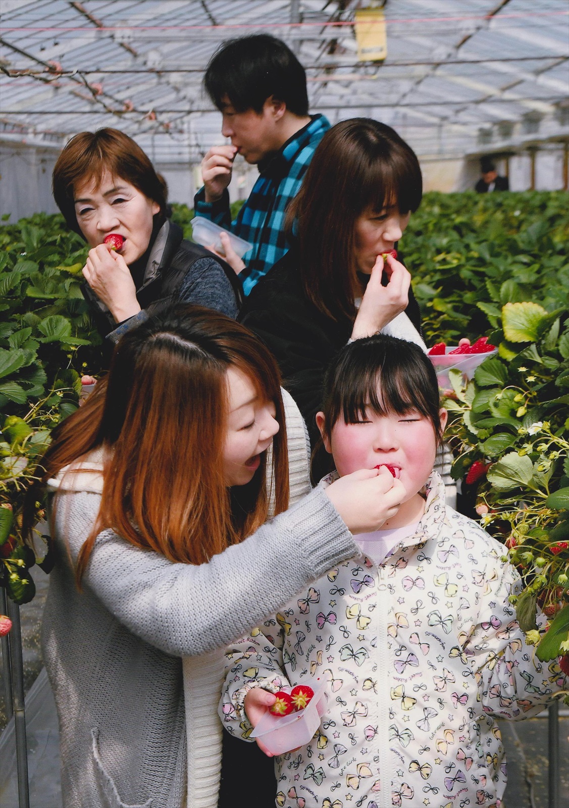入賞写真
