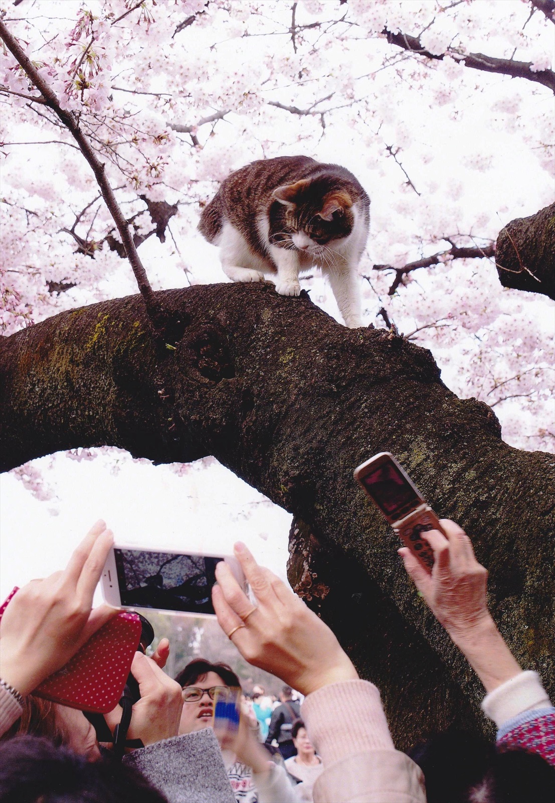 入賞写真