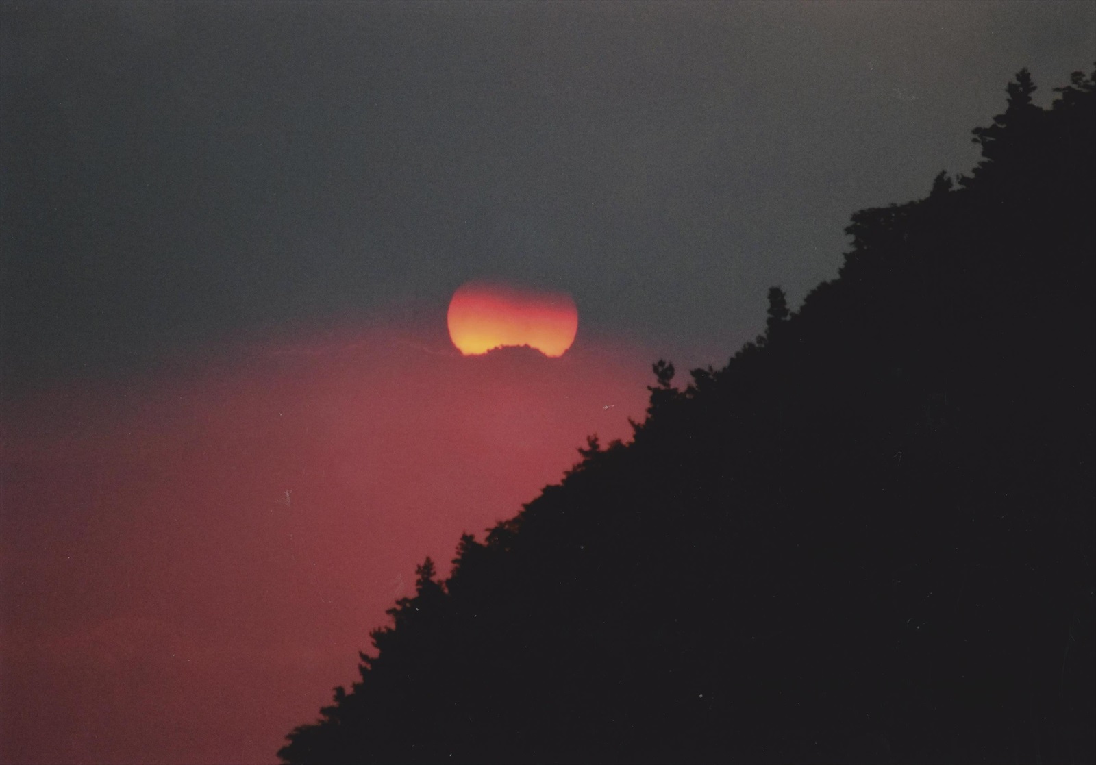 入賞写真