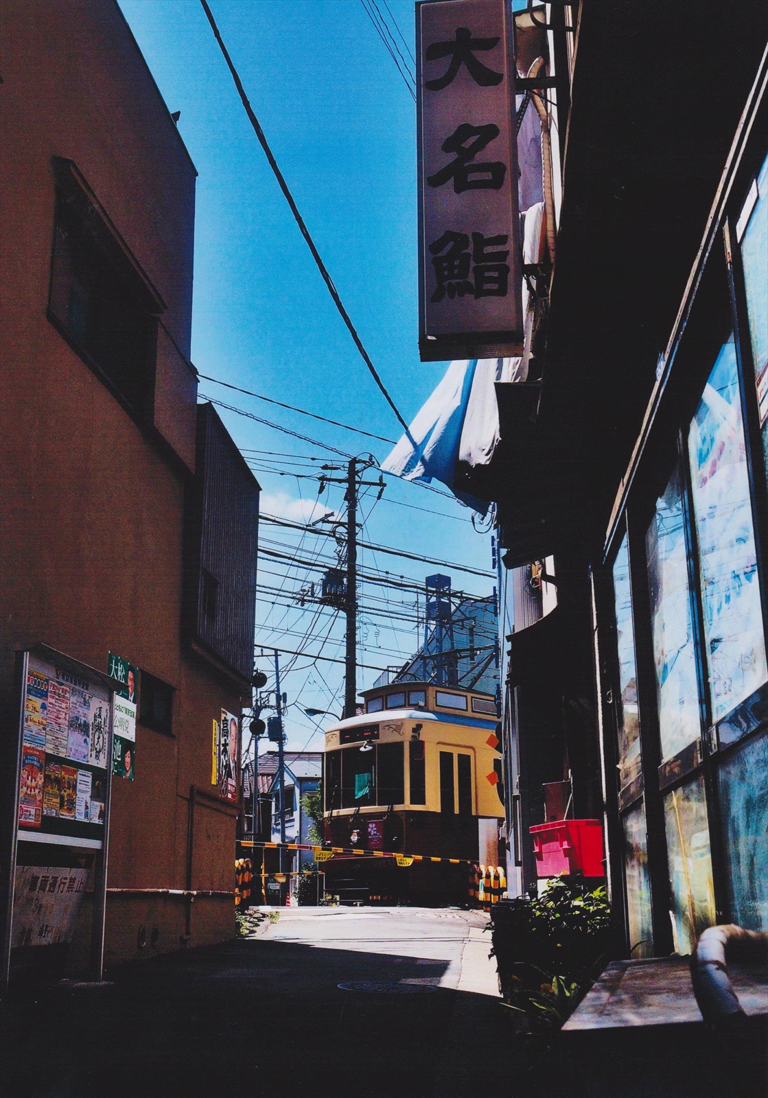 入賞写真