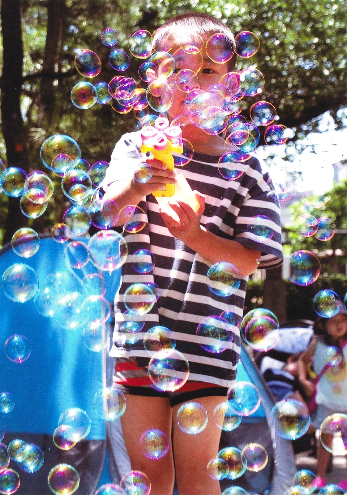 入賞写真