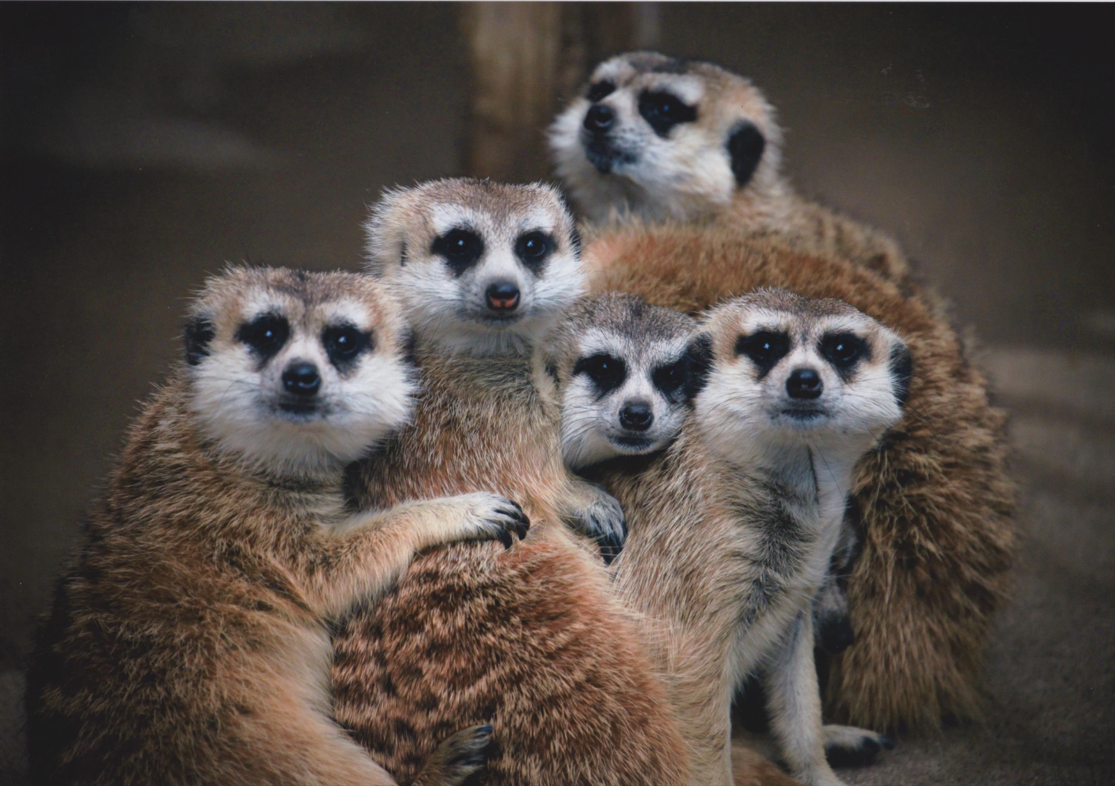 入賞写真