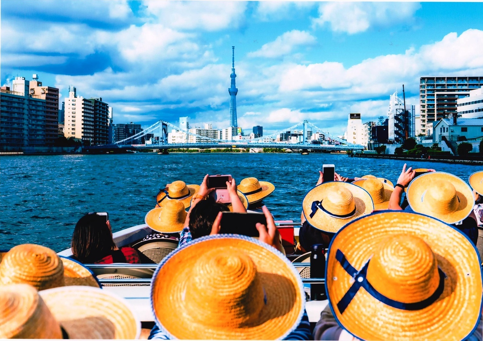 入賞写真