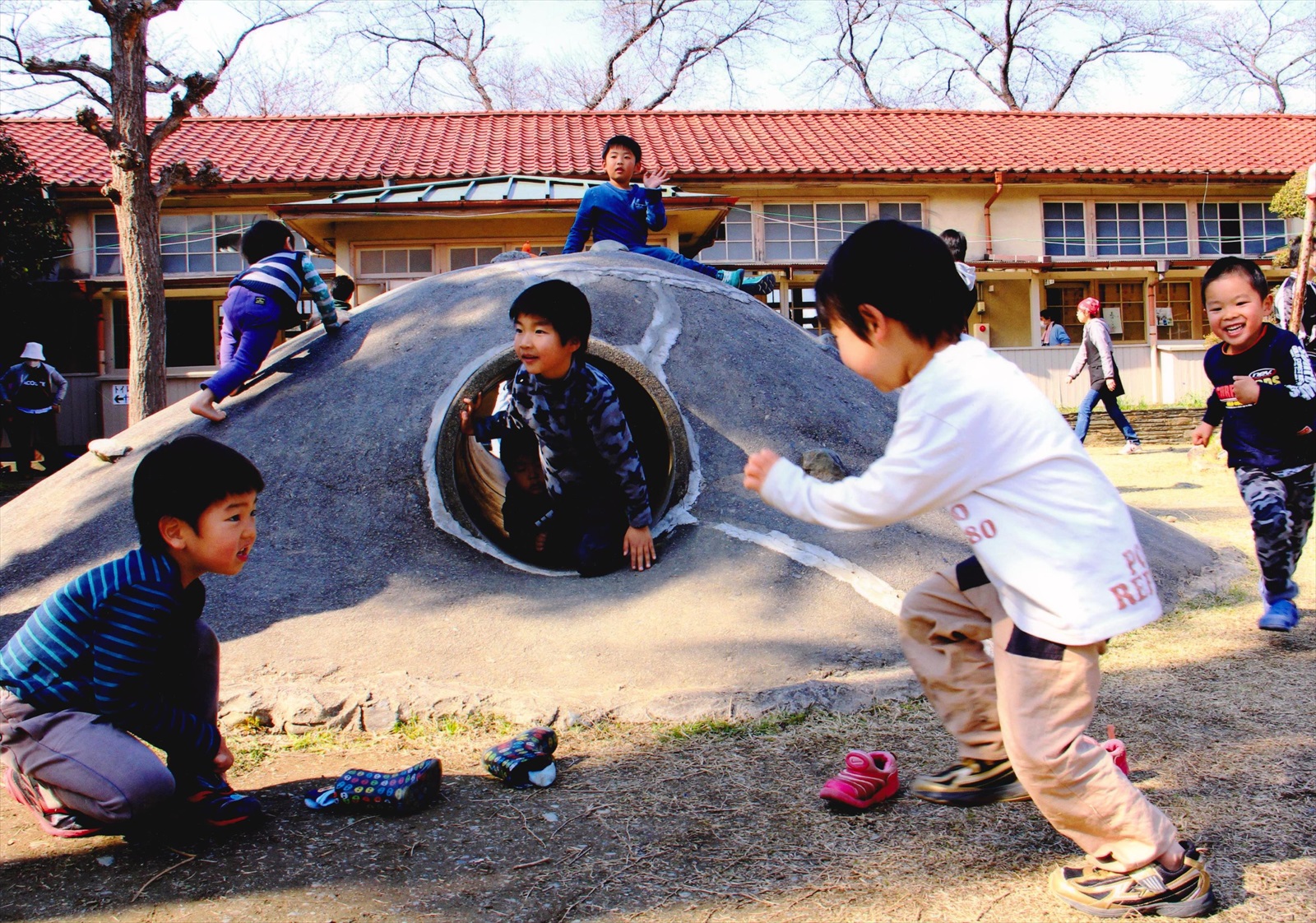 入賞写真