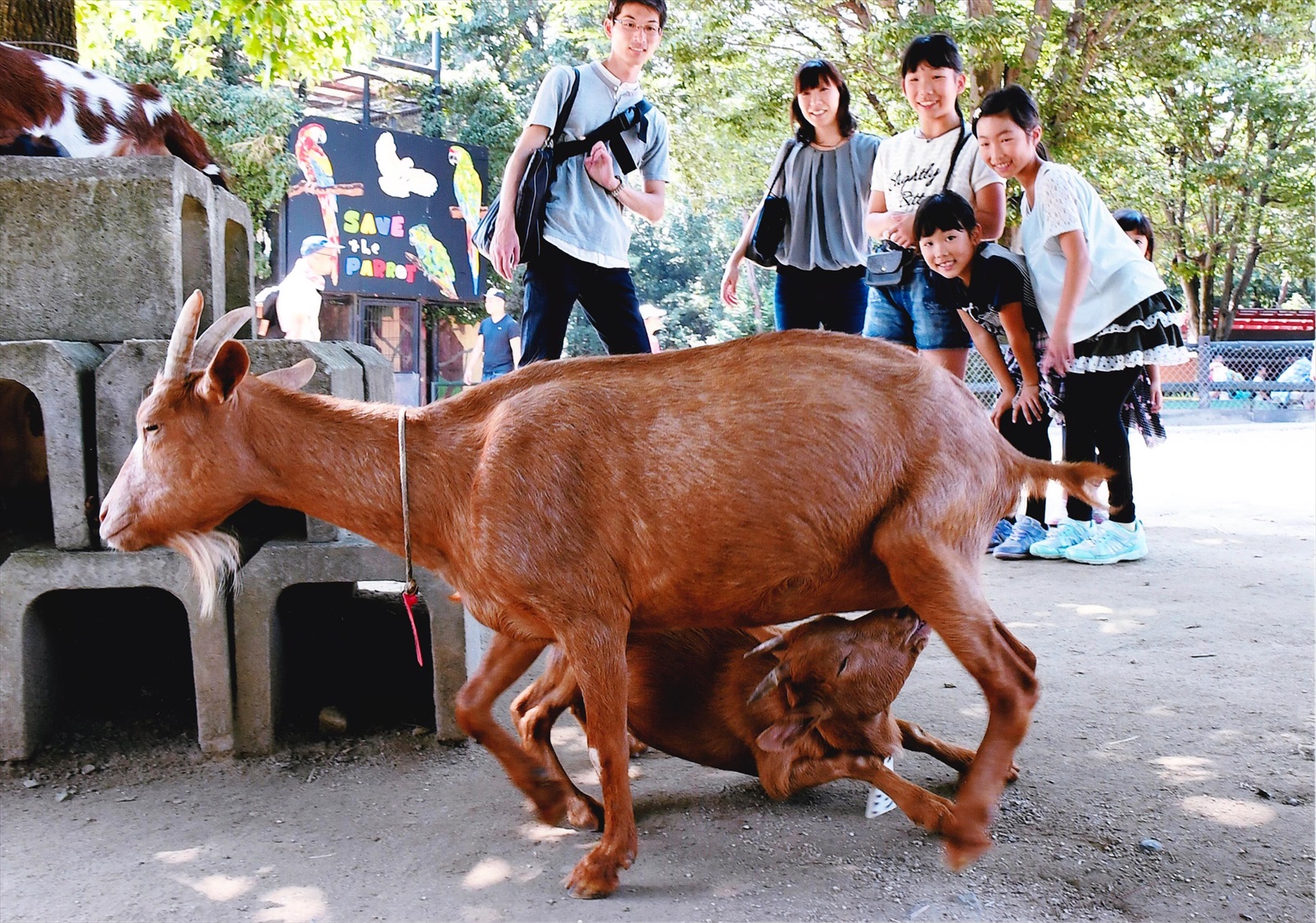 入賞写真