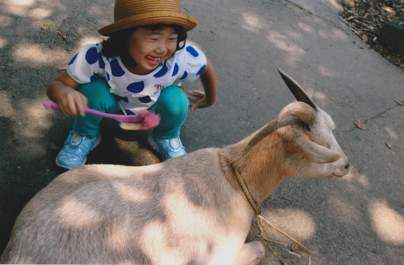 入賞写真