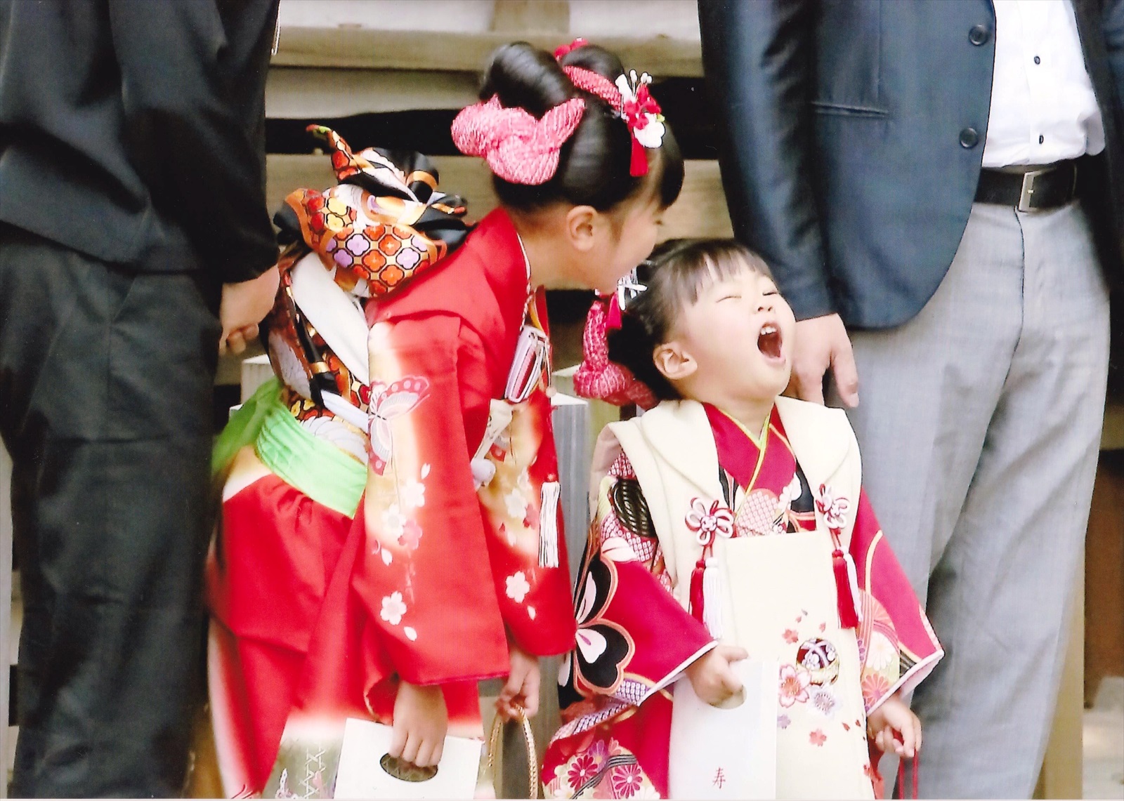 入賞写真