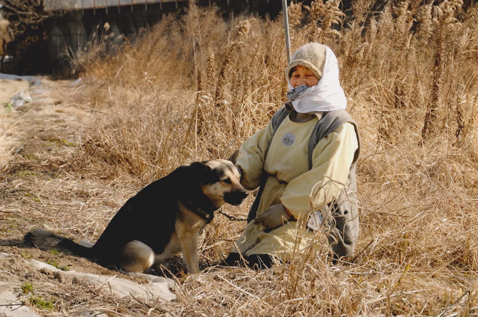 入賞写真