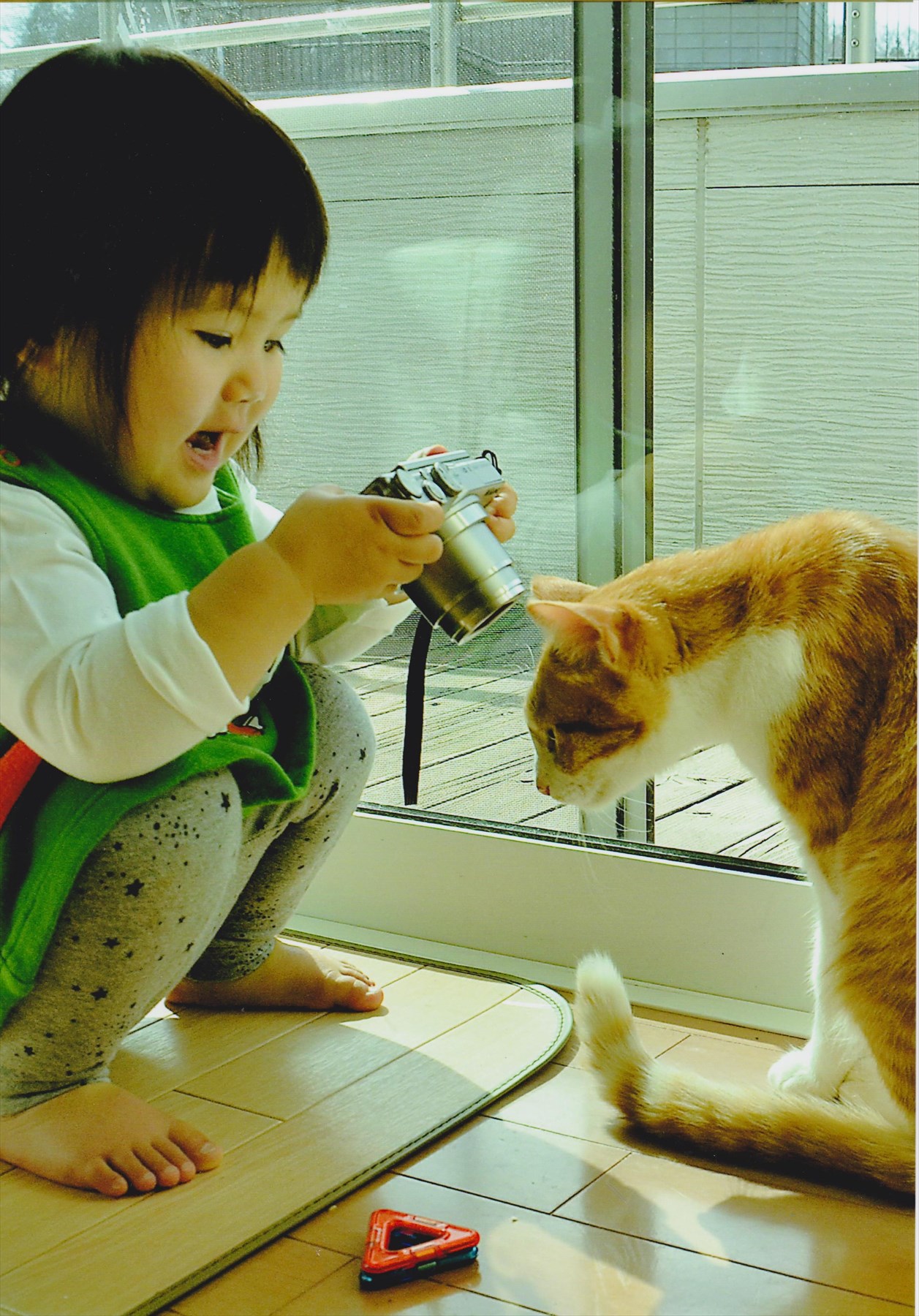 入賞写真
