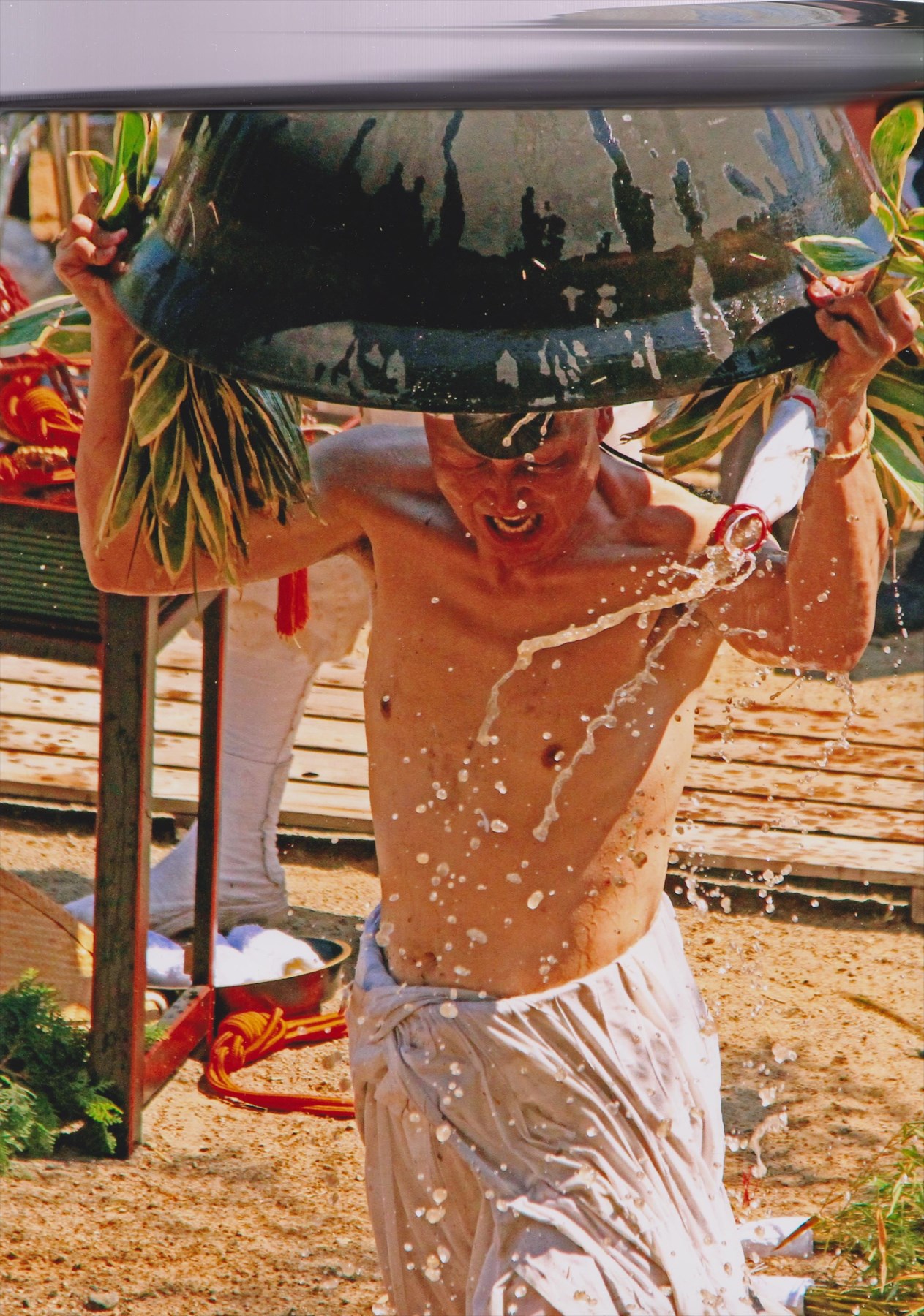 入賞写真