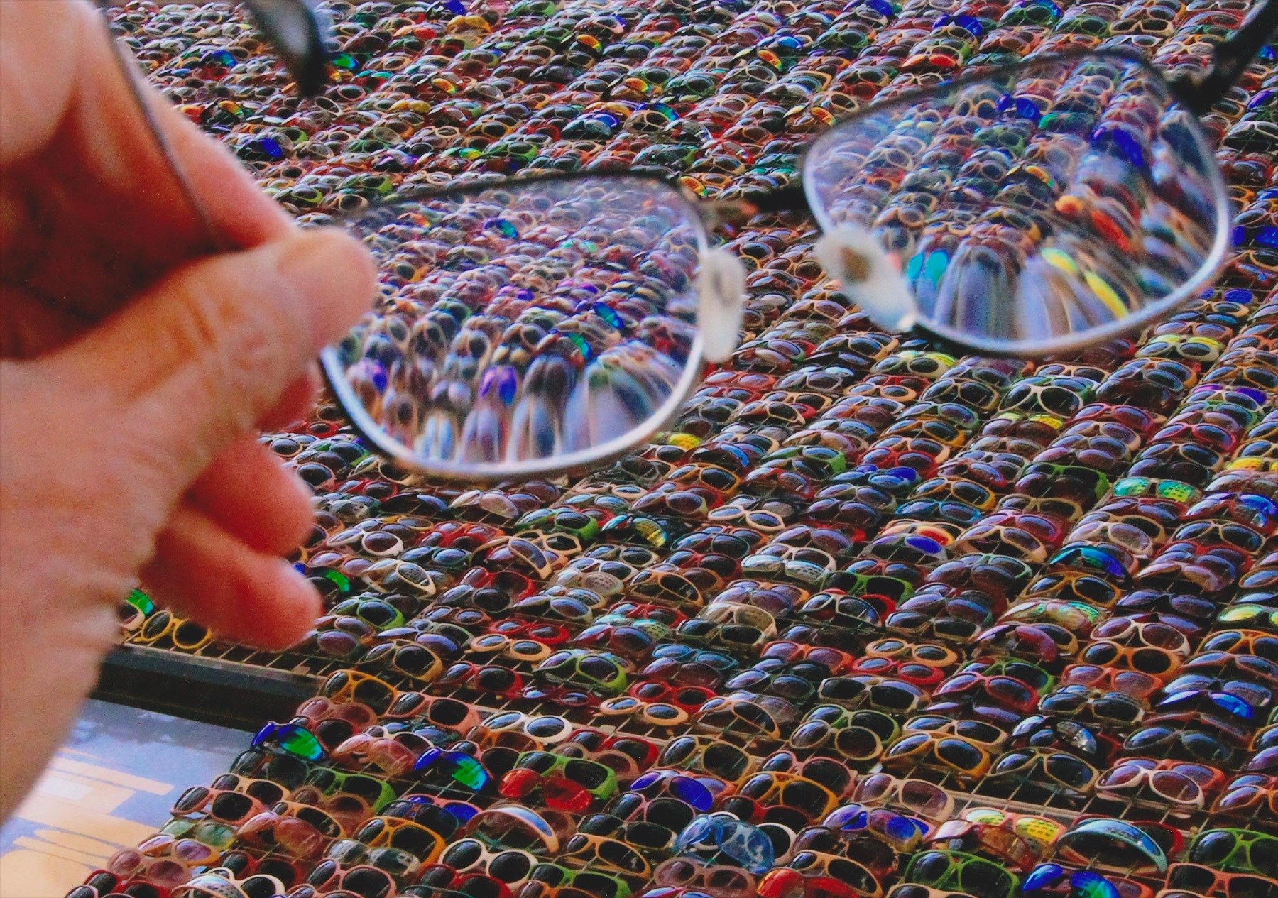 入賞写真