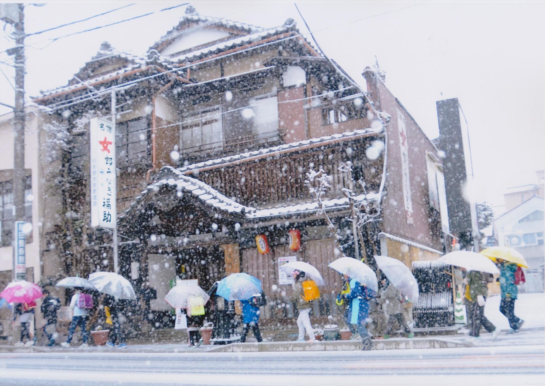入賞写真