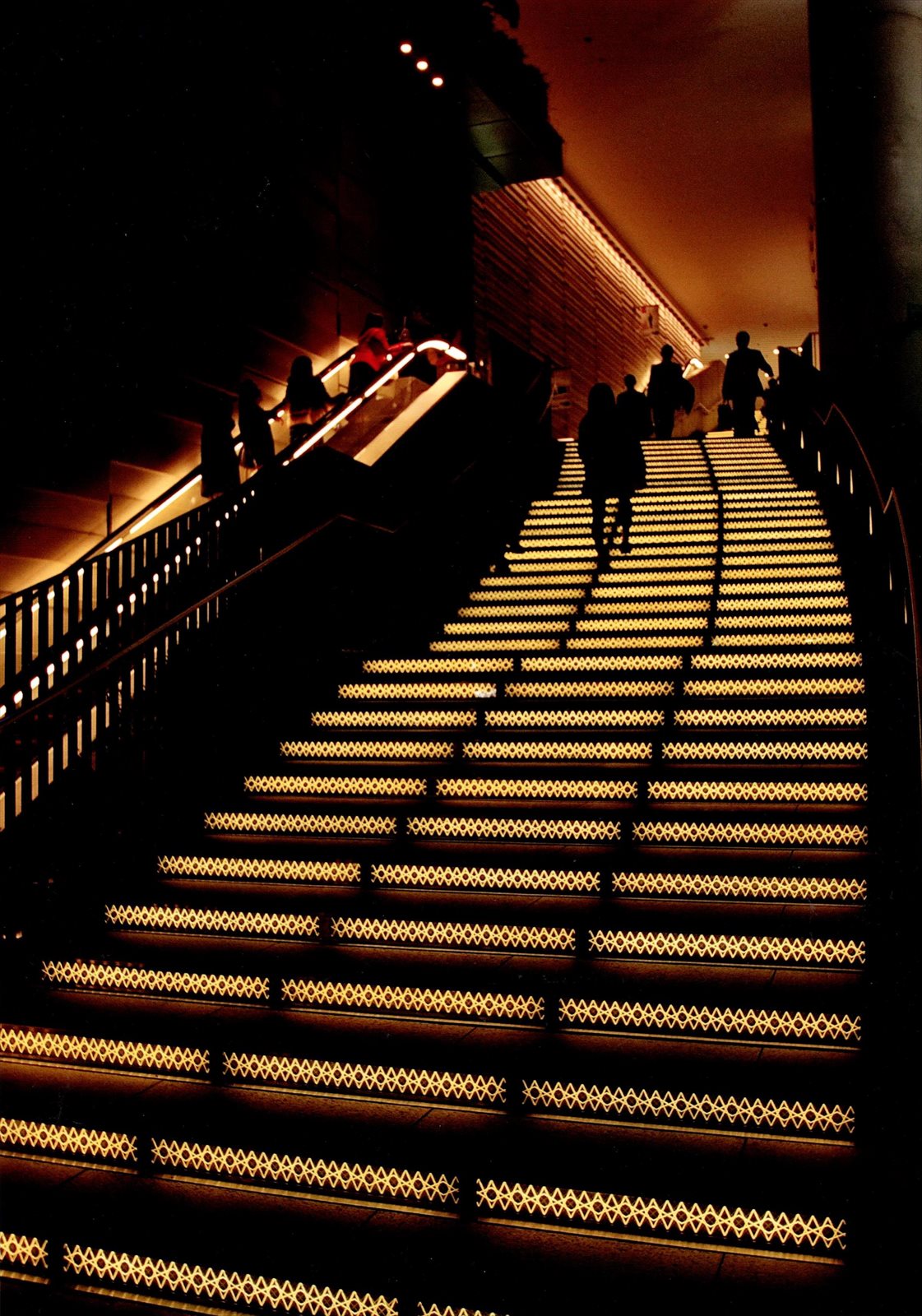 入賞写真
