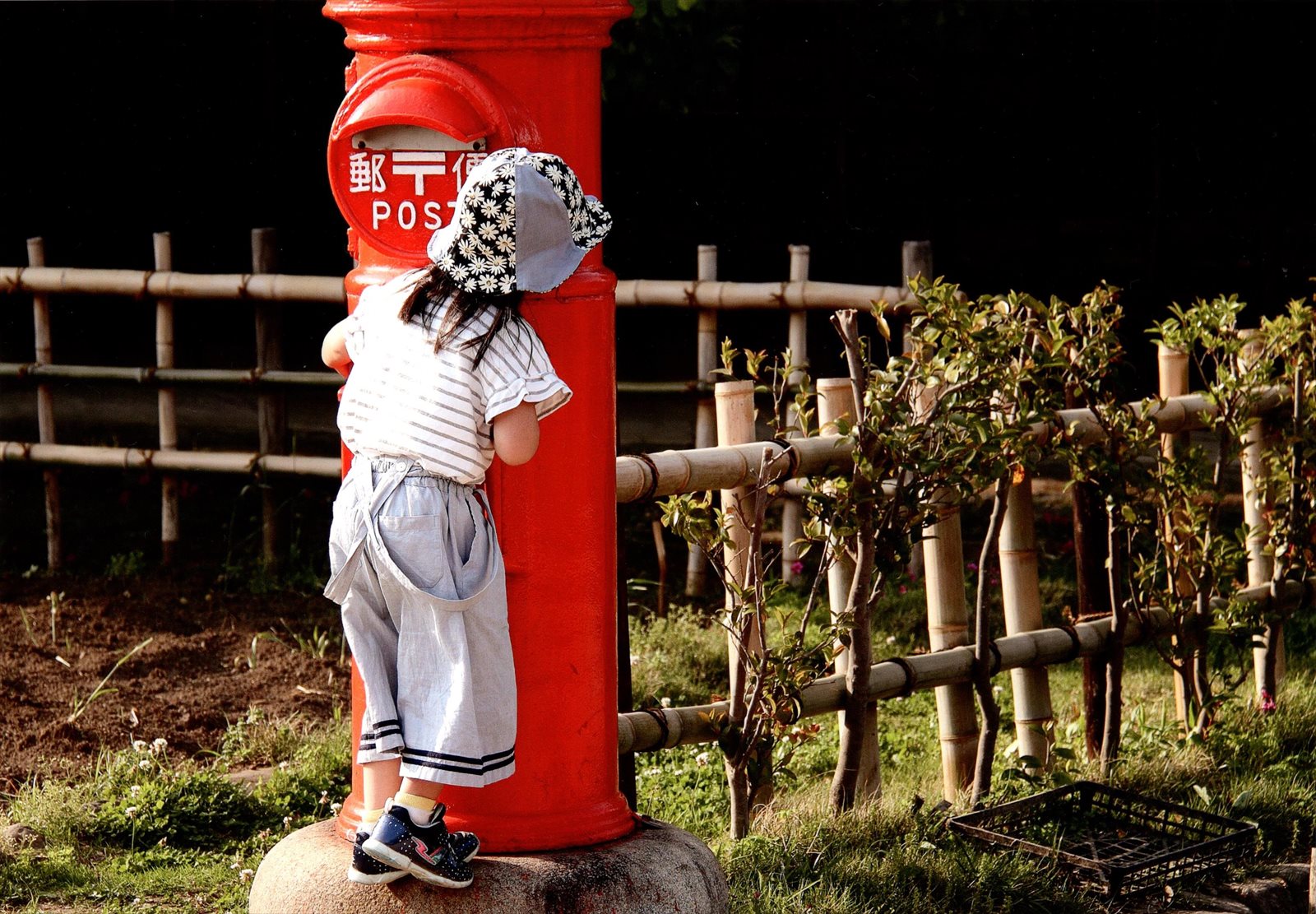 入賞写真