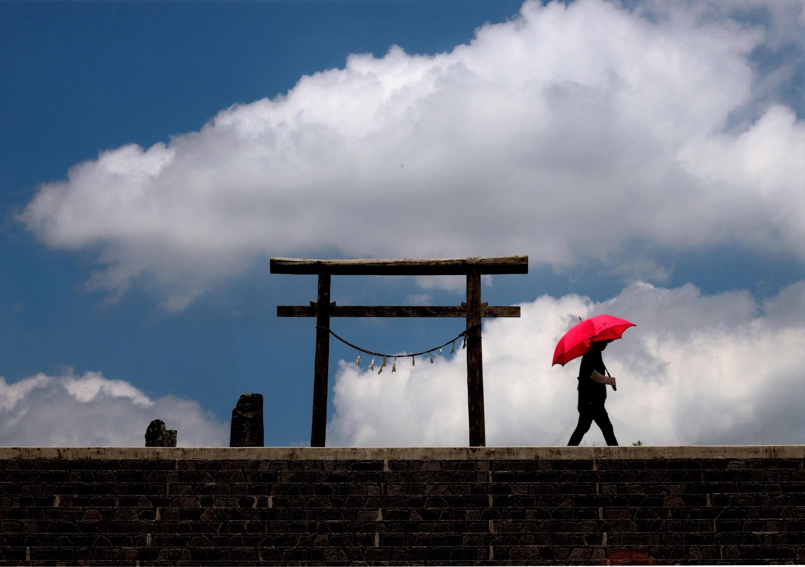 入賞写真
