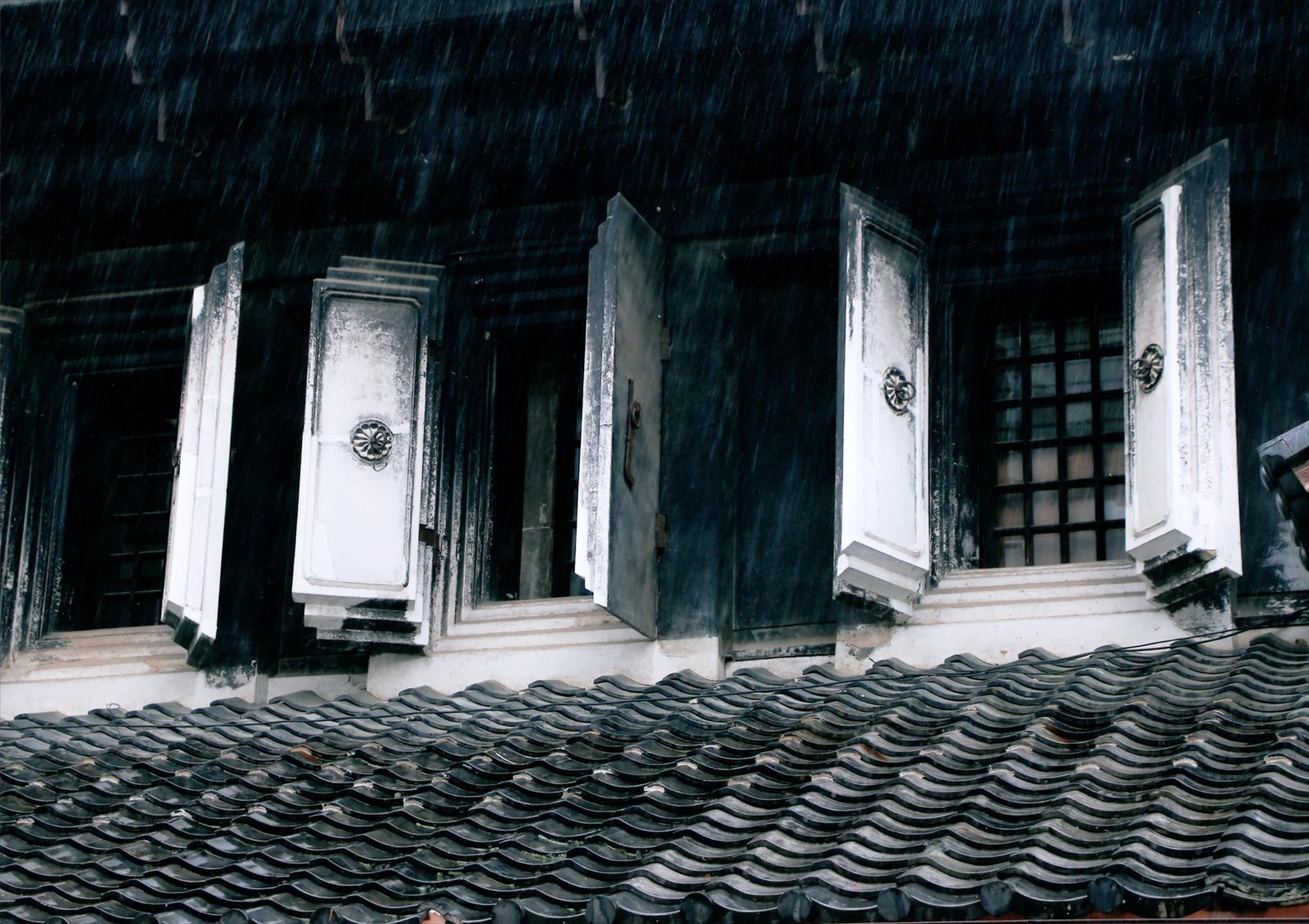 入賞写真