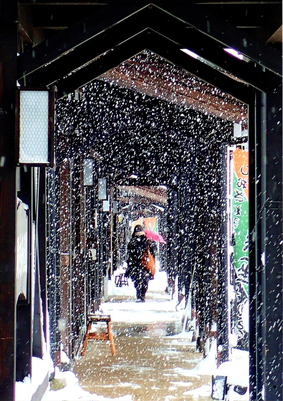 入賞写真