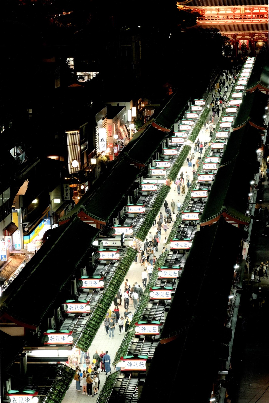 入賞写真