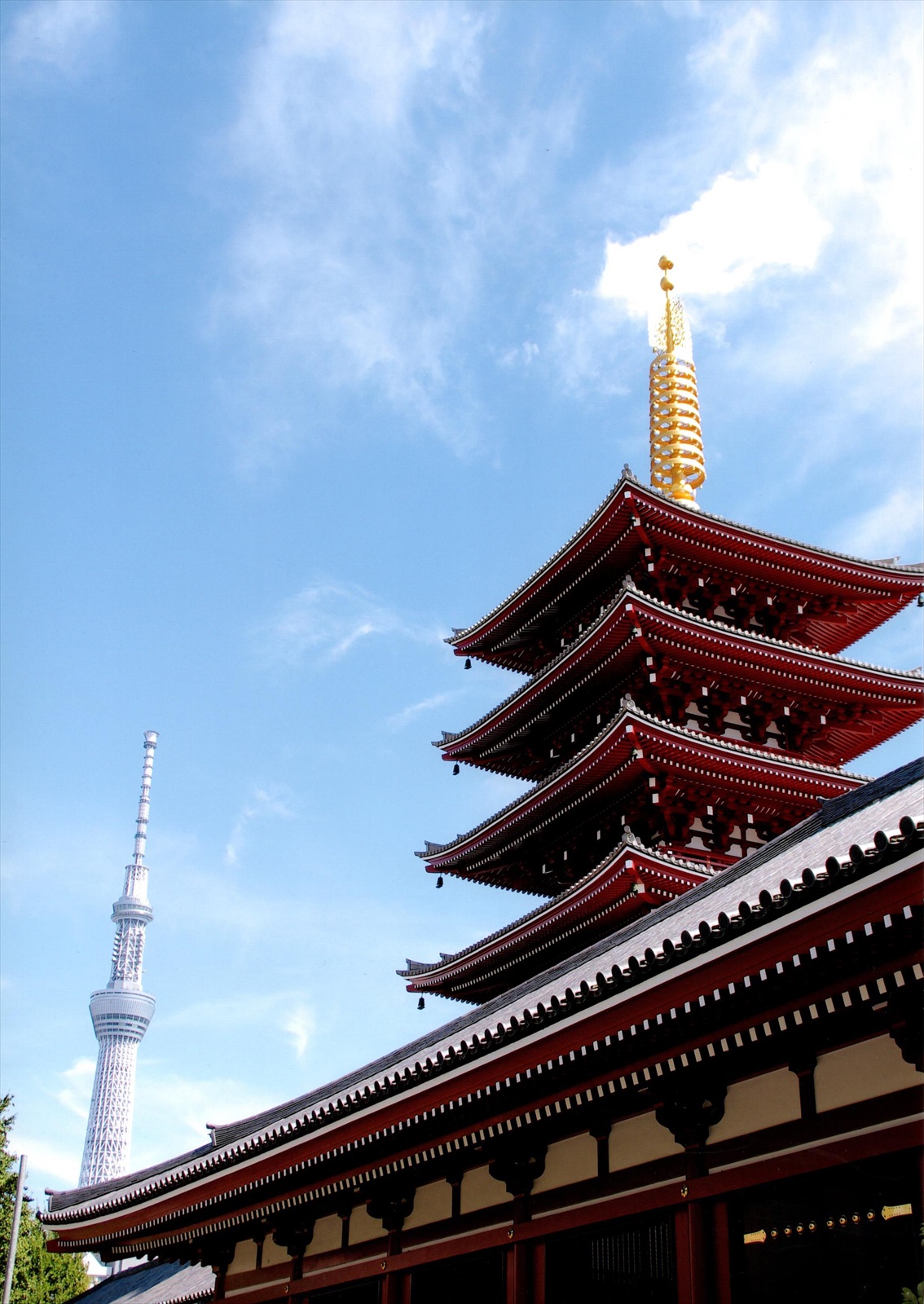 入賞写真