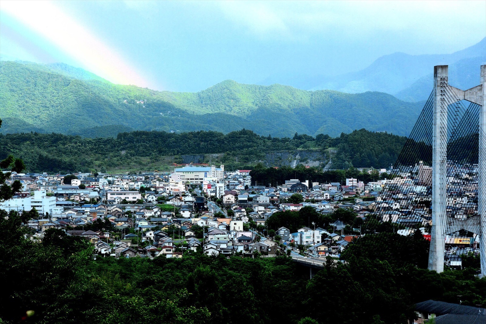 入賞写真
