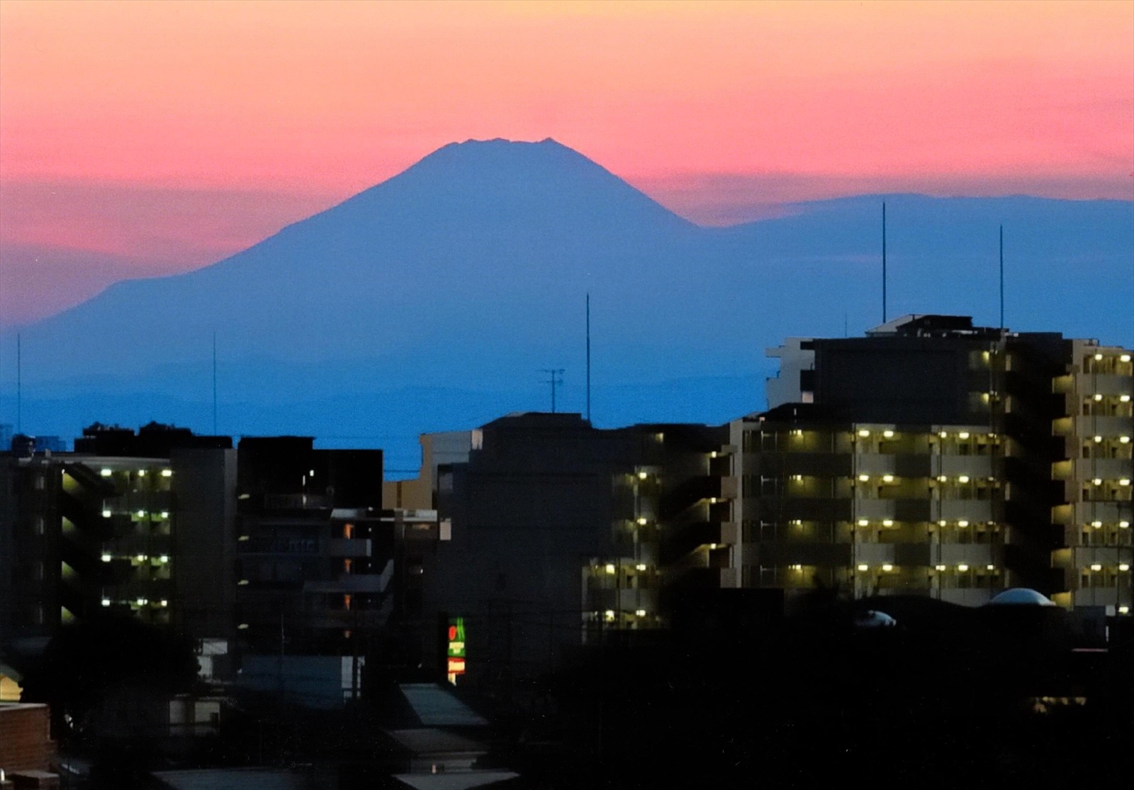 入賞写真