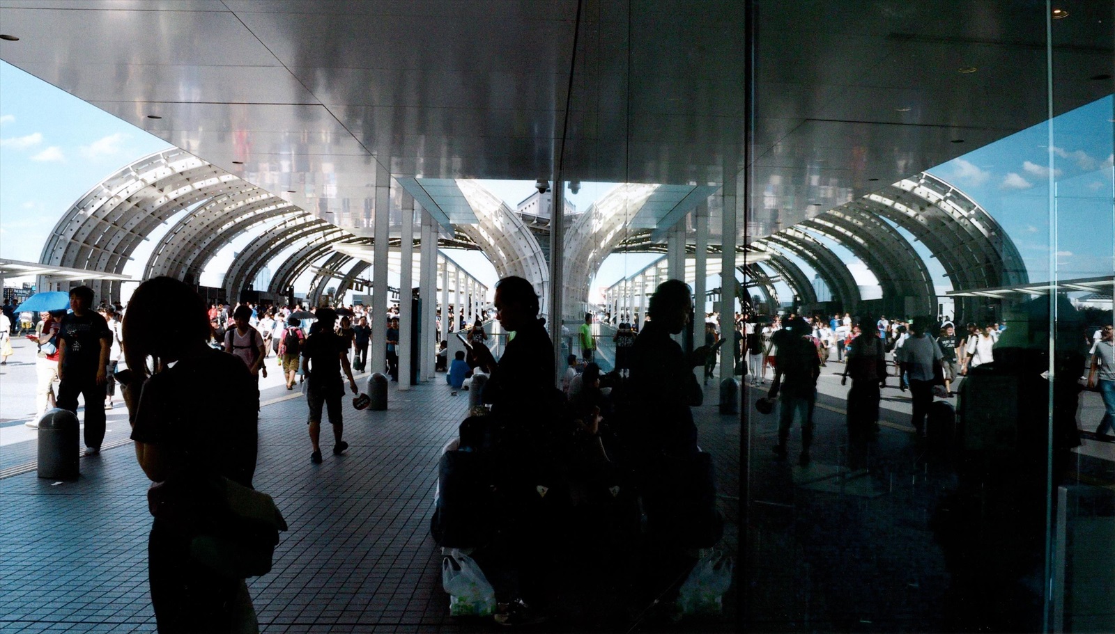 入賞写真