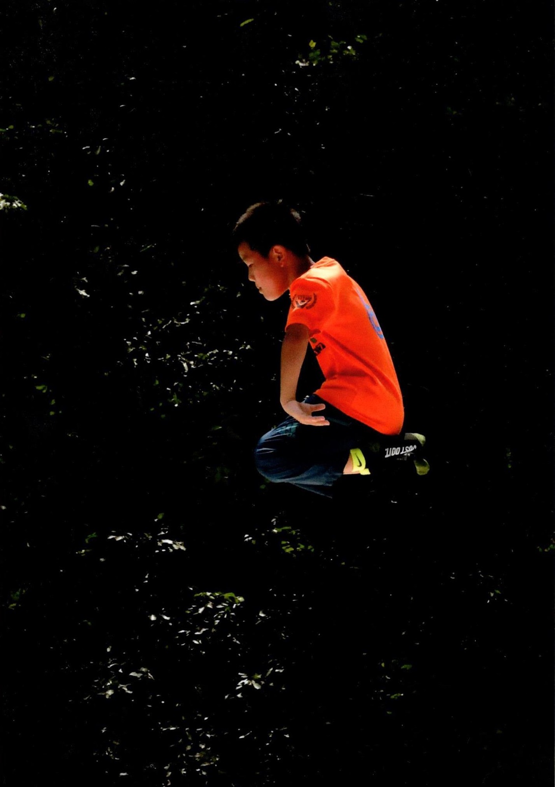 入賞写真"